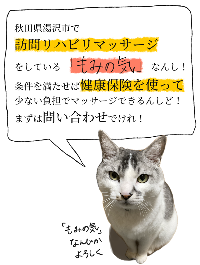 「秋田県湯沢市で訪問医療マッサージをしている「もみの気」なんし！条件を満たせば健康保険を使って少ない負担でマッサージできるんしど！まずは問い合わせでけれ！」と挨拶する猫